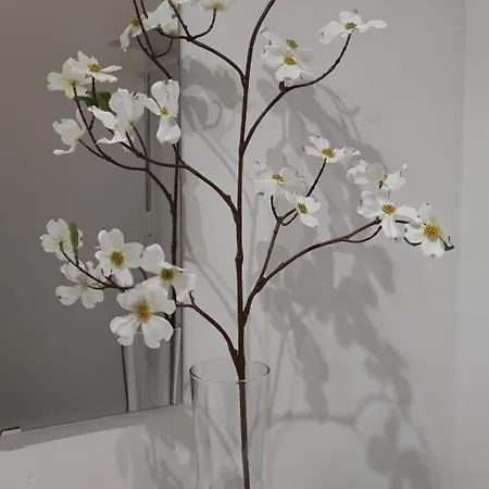 Villasolete * Fuengirola