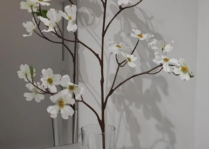 Villasolete * Фуенхірола